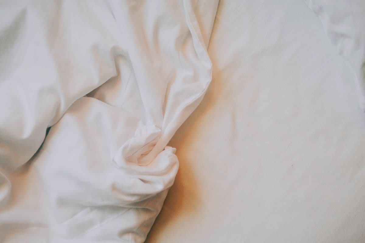 How to check for bed bugs